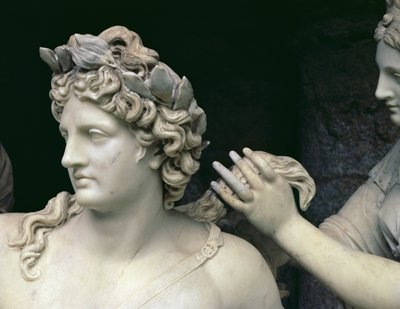 Apollo, gepflegt von den Nymphen, Detail (Kopf von Apollo) von Francois Girardon